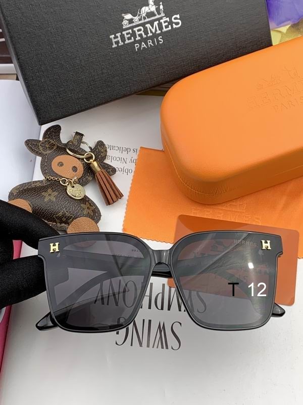 Hermes Sunglasses 5